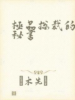 极品总裁的嚣张秘书