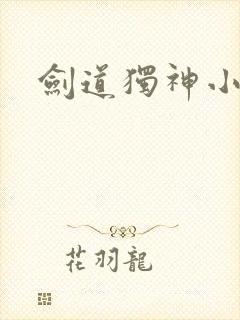 剑道独神小说