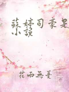苏婷司豪是什么小说