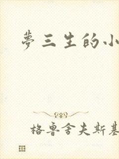 梦三生的小说