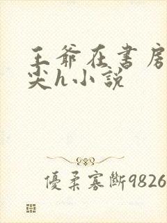 王爷在书房含乳尖h小说