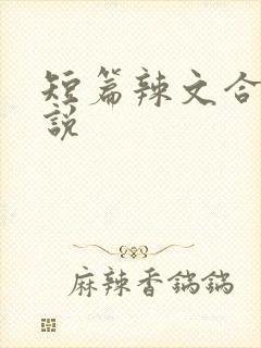 短篇辣文合集小说