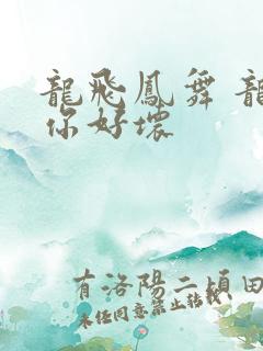 龙飞凤舞 龙王你好坏
