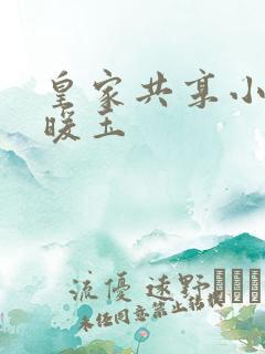 皇家共享小公主暖玉