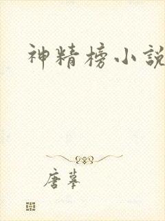 神精榜小说