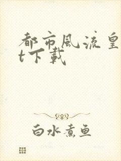 都市风流皇txt下载