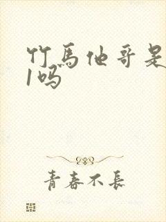 竹马他哥是1v1吗