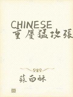 CHINESE重庆猛攻张先生