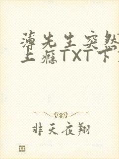 薄先生突然黏她上瘾TXT下载