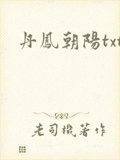 丹凤朝阳txt