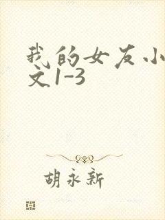 我的女友小洁全文1-3