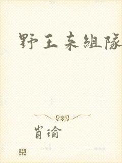 野王来组队小说