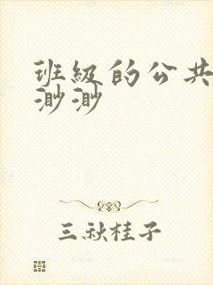 班级的公共玩具渺渺