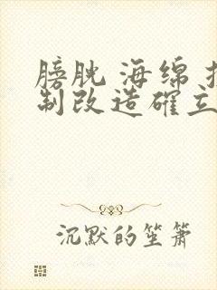 膀胱 海绵 控制改造确立m