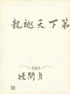 龙巡天下第四部