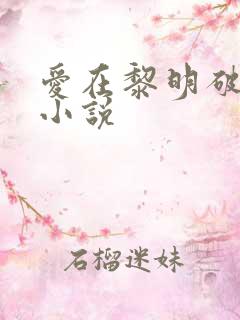 爱在黎明破晓前小说