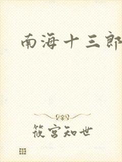 南海十三郎小说