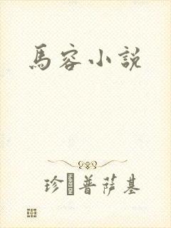 马容小说