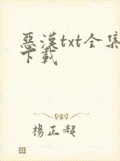 恶汉txt全集下载
