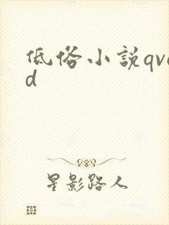 低俗小说qvod