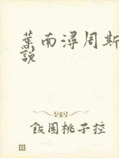 叶南浔周斯年小说