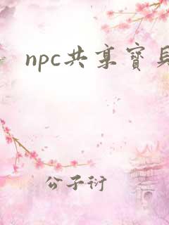 npc共享宝贝
