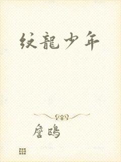 纹龙少年