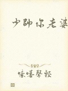 少帅你老婆