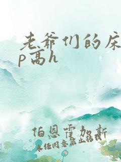 老爷们的床奴np高h