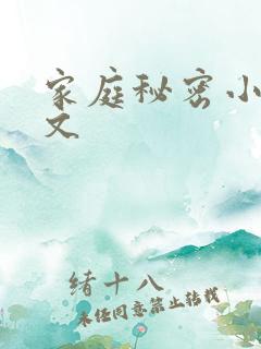 家庭秘密小说全文