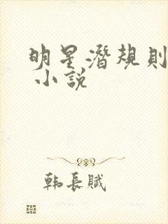 明星潜规则之皇 小说