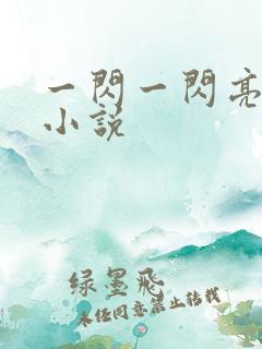 一闪一闪亮星星小说