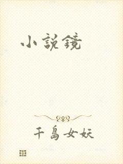 小说镜