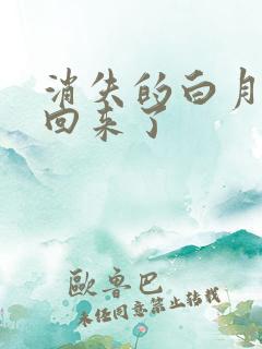 消失的白月光又回来了