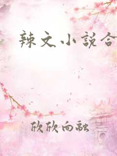 辣文小说合集
