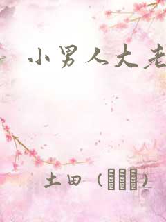 小男人大老婆