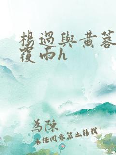 杨过与黄蓉翻云覆雨h