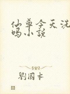 仙尊今天洗白了吗小说