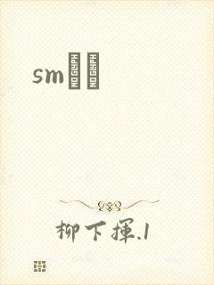 smˮŰ