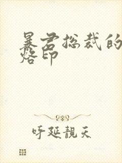 暴君总裁的狂烈烙印