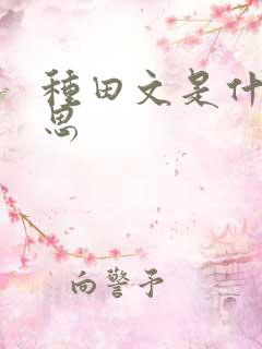 种田文是什么意思
