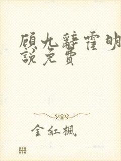 顾九辞霍明澈小说免费