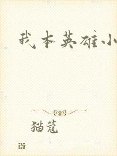 我本英雄小说