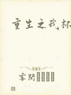 重生之我杯具了