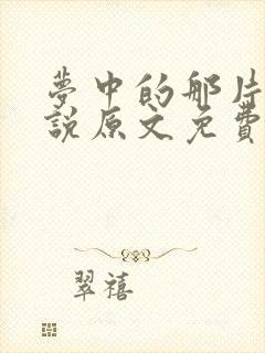 梦中的那片海小说原文免费阅读