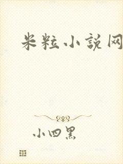 米粒小说网