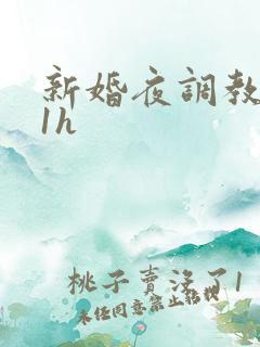 新婚夜调教1v1h