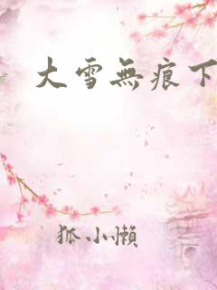 大雪无痕下载