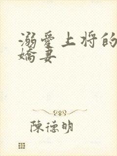 溺爱上将的宝贝娇妻