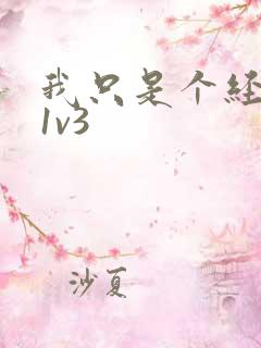 我只是个经纪人1v3